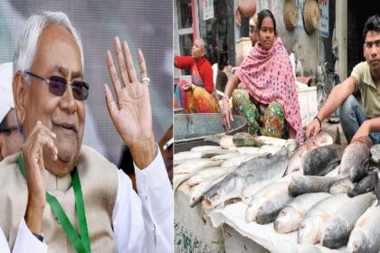 Nitish सरकार अब मछली पालन के लिए दे रही है अनुदान, जानें कैसे करें आवेदन 4