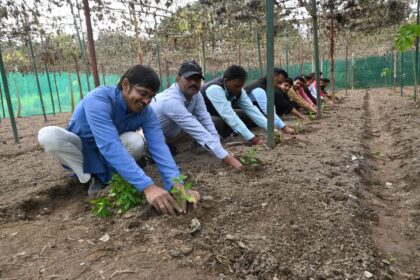 6 दिवसीय मल्टीलेयर कृषि कार्यशाला संपन्न 2