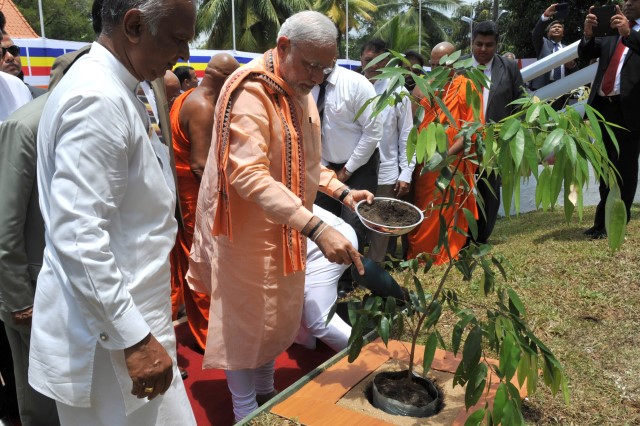 prime-minister-of-india-planting-sapling