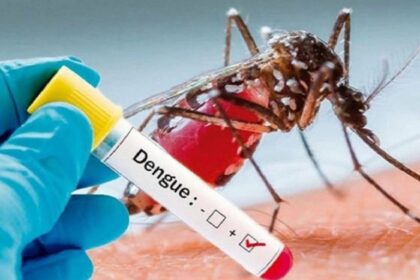 Dengue