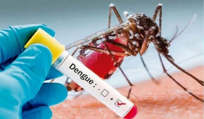 Dengue