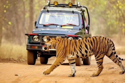 bihar-second-tiger-reserve-kaimur