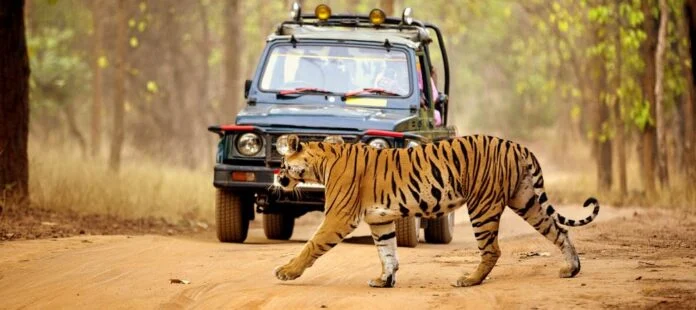 bihar-second-tiger-reserve-kaimur