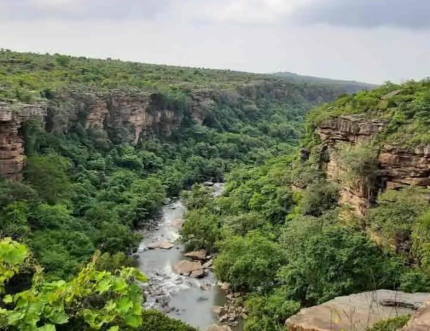 रोहतास की काव नदी को किया जायेगा पुनर्जीवित: सात करोड़ रूपये खर्च कर जल धारा को दी जाएगी सही दिशा 1