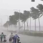 weather