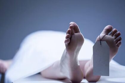 dead body