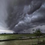 weather