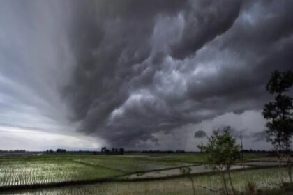 weather