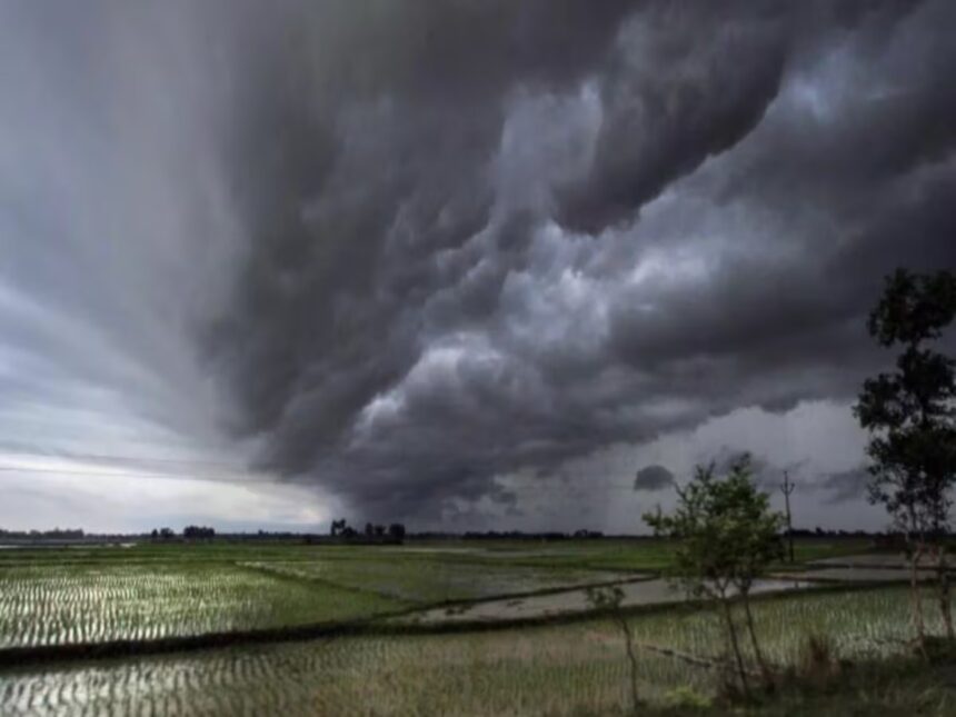 weather