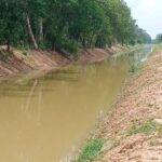 sone canal