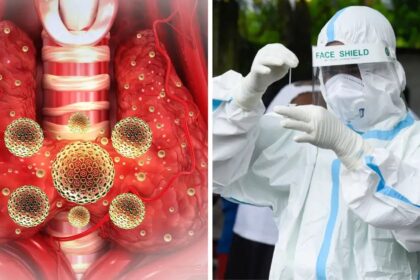 corona virus