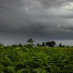 weather