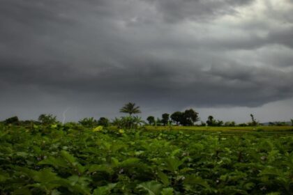 weather