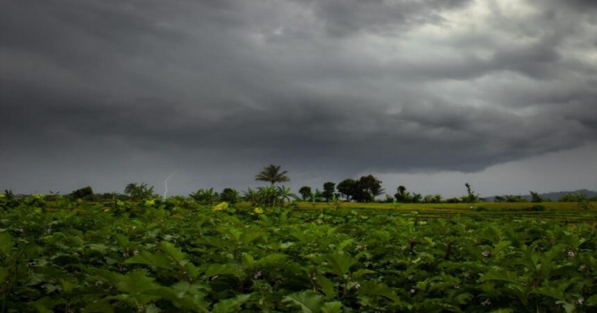 weather