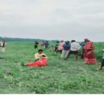 पत्नी ने अवैध संबंध का किया विरोध तो पति ने कर दी हत्या 7