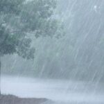 weather