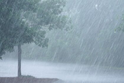 weather