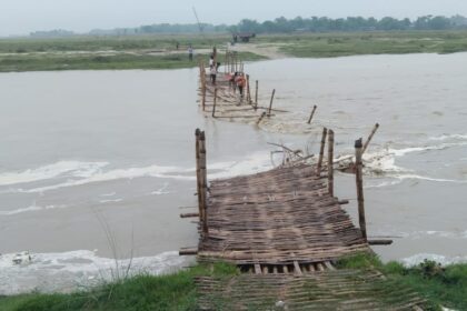 बहादुरगंज विधानसभा क्षेत्र की लाइफ लाइन कोमा में टेढ़ागाछ की बदहाल सड़कें चुनाव से पहले खोल रही जनप्रतिनिधियों की पोल 7