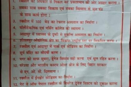 वादों के पोस्टर धरे रह गए, हल्की बारिश में ही बह गया 'विकास' चुनाव से पहले पंपलेट में वादों की भरमार, बाद में सब नकार 6