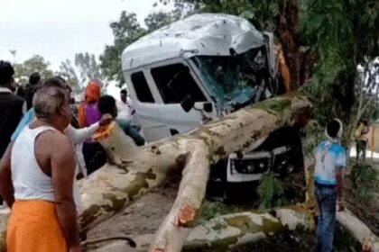 गिट्टी लदे ट्रक की टक्कर से टूटकर गिरा पेड़ 15