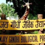 patna zoo