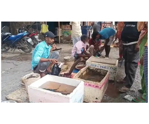 भागलपुर में 15 अगस्त तक मछली पकड़ने पर पाबंदी रोक के बावजूद मछली पकड़ी तो 6 महीने की होगी सजा 1 भागलपुर में 15 अगस्त तक मछली पकड़ने पर पाबंदी रोक के बावजूद मछली पकड़ी तो 6 महीने की होगी सजा 1
