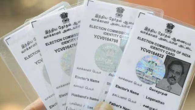 voter