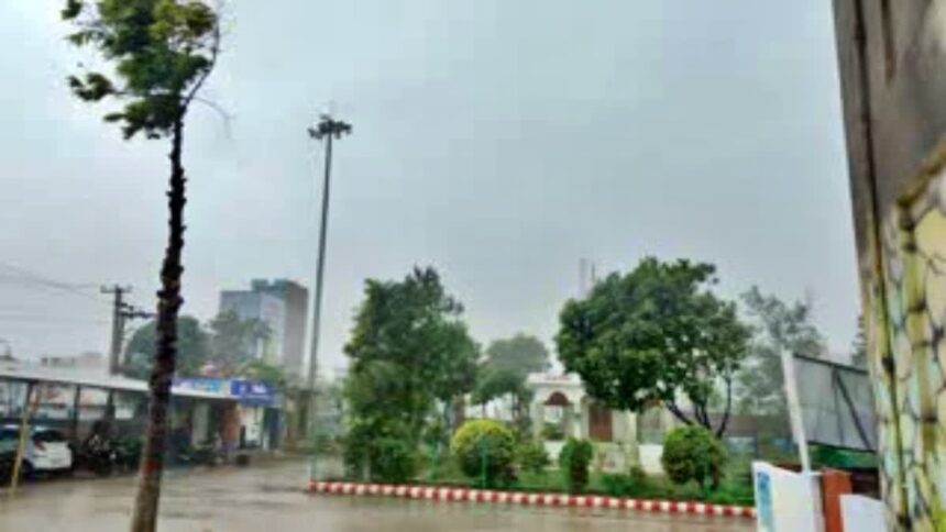 weather