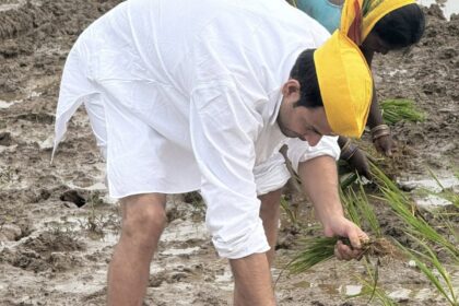 tejpratap yadav