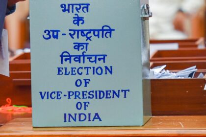 vice president election