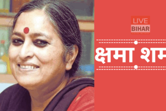 नेताओं-अभिनेताओं के कुनबे में कुचलता हुनर 28