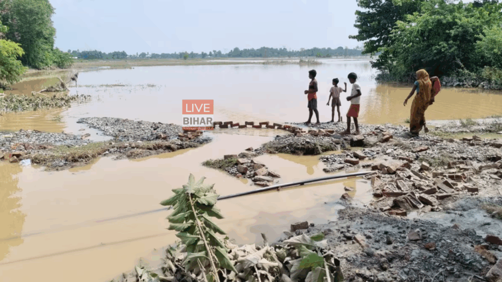 बिहार बाढ़ 2025: कोसी नदी का कहर- सहरसा में मचा हाहाकार,हज़ारों लोग लगा रहें मदद की गुहार! 2