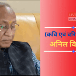 भारतीय संविधान, डॉ. अंबेडकर और बी.एन. राव का योगदान