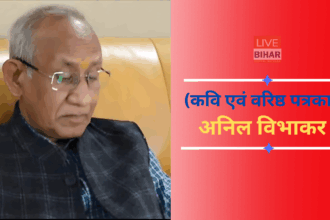भारतीय संविधान, डॉ. अंबेडकर और बी.एन. राव का योगदान