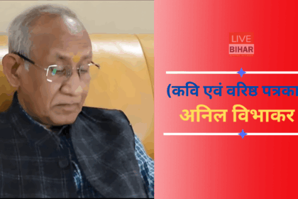 भारतीय संविधान, डॉ. अंबेडकर और बी.एन. राव का योगदान