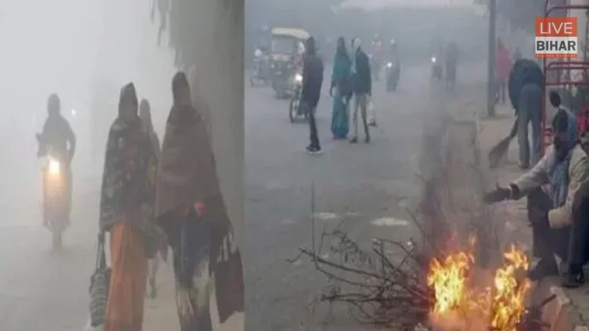 Bihar Weather Cold Wave Fog
