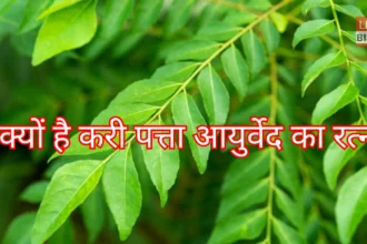 करी पत्ता खाने के फायदे