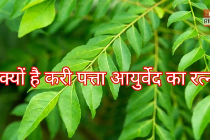 करी पत्ता खाने के फायदे
