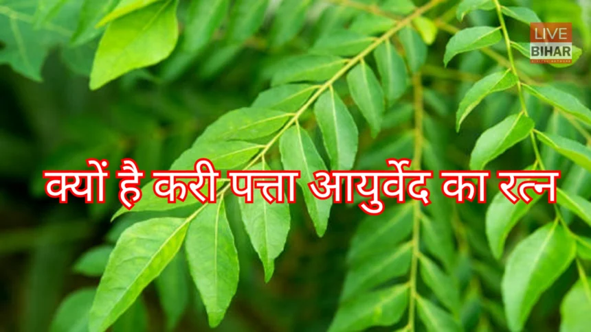 करी पत्ता खाने के फायदे