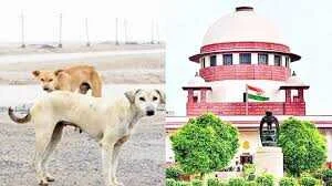 Supream Court Dog lovers Case