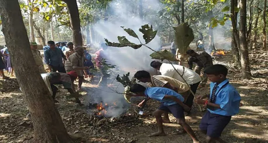 Karnataka Forest Fire: कर्नाटक के जंगलों में खतरे की घंटी, 1,800 से ज्यादा फायर अलर्ट ने बढ़ाई चिंता 1