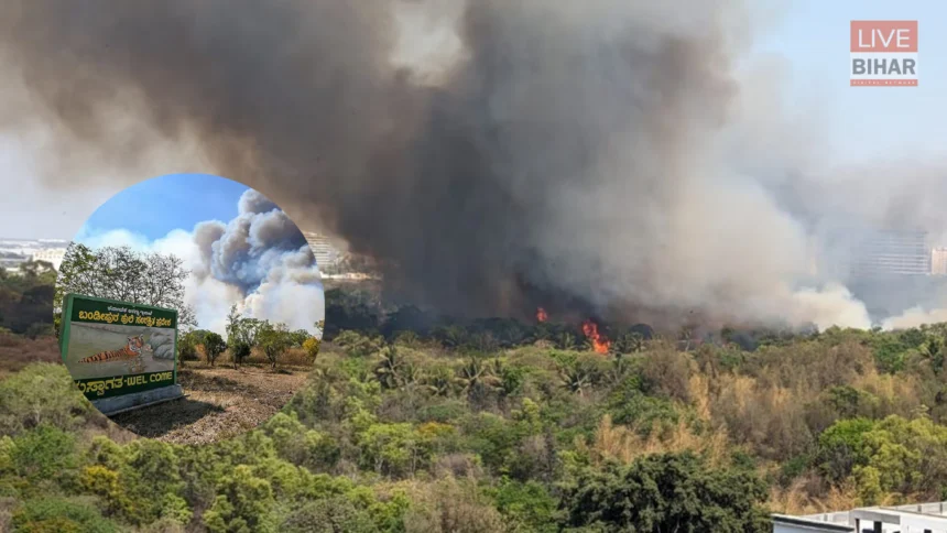 Karnataka Forest Fire Alert News