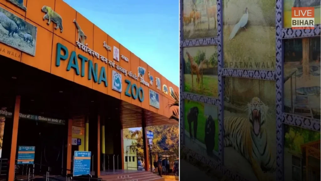 Patna Zoo में बड़ा बदलाव: ऑनलाइन टिकट, ट्री टॉप वॉक-वे और स्मार्ट सुविधाओं से बदलेगा चिड़ियाघर का चेहरा 1