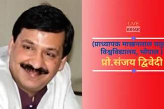 Republic Day India 2047 Vision democracy