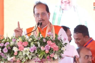 Vijay Kumar Sinha Land Revenue Department