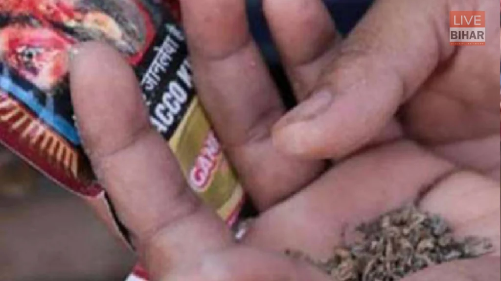 Tobacco Cancer Bihar Youth: बिहार में युवाओं को तेजी से जकड़ रहा कैंसर, तंबाकू बना सबसे बड़ा कारण 1