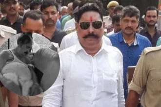 anant singh mokama mla bail patna high court