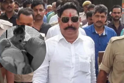 anant singh mokama mla bail patna high court