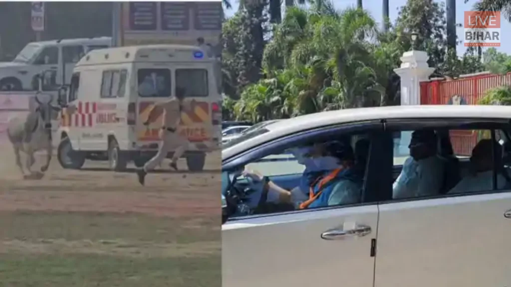CM Nitish Kumar Security Lapse: बेगूसराय में हेलीपैड के पास आवारा सांड घुसा, पुलिसकर्मियों में मची अफरातफरी 1